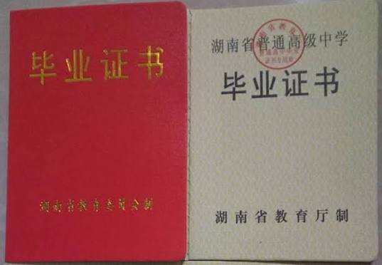 证件案例4